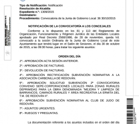 Junta Gobierno Local 30-10-2015