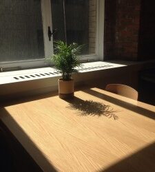 Plan Renove de Ventanas 2016