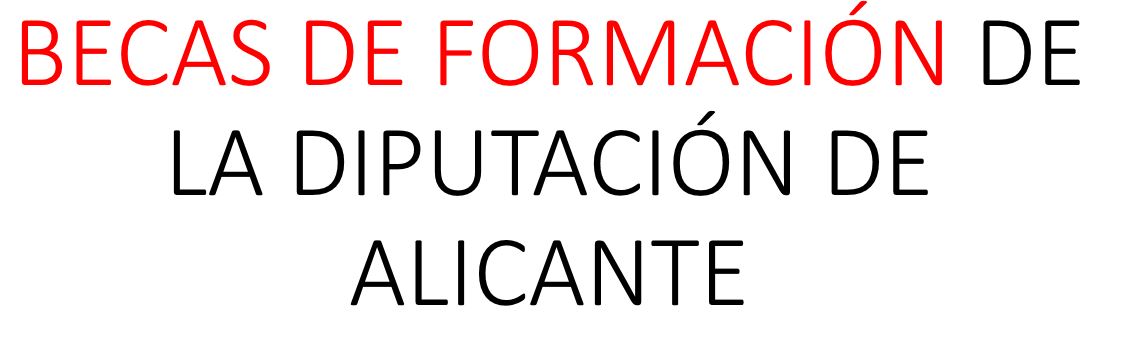 Becas de Formación de la Diputación de Alicante