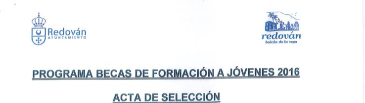 Acta selección becas de formación jóvenes 2016