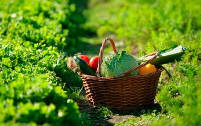 Solicitud uso huertos municipales ecológicos