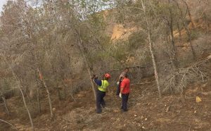 El paro baja por sexto mes consecutivo y registra una cifra inédita desde hace años con 844 desempleados