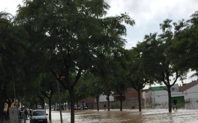 Redován City Council postpones DANA tribute ceremony for health security to prevent COVID-19 spreading